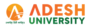 Adesh University